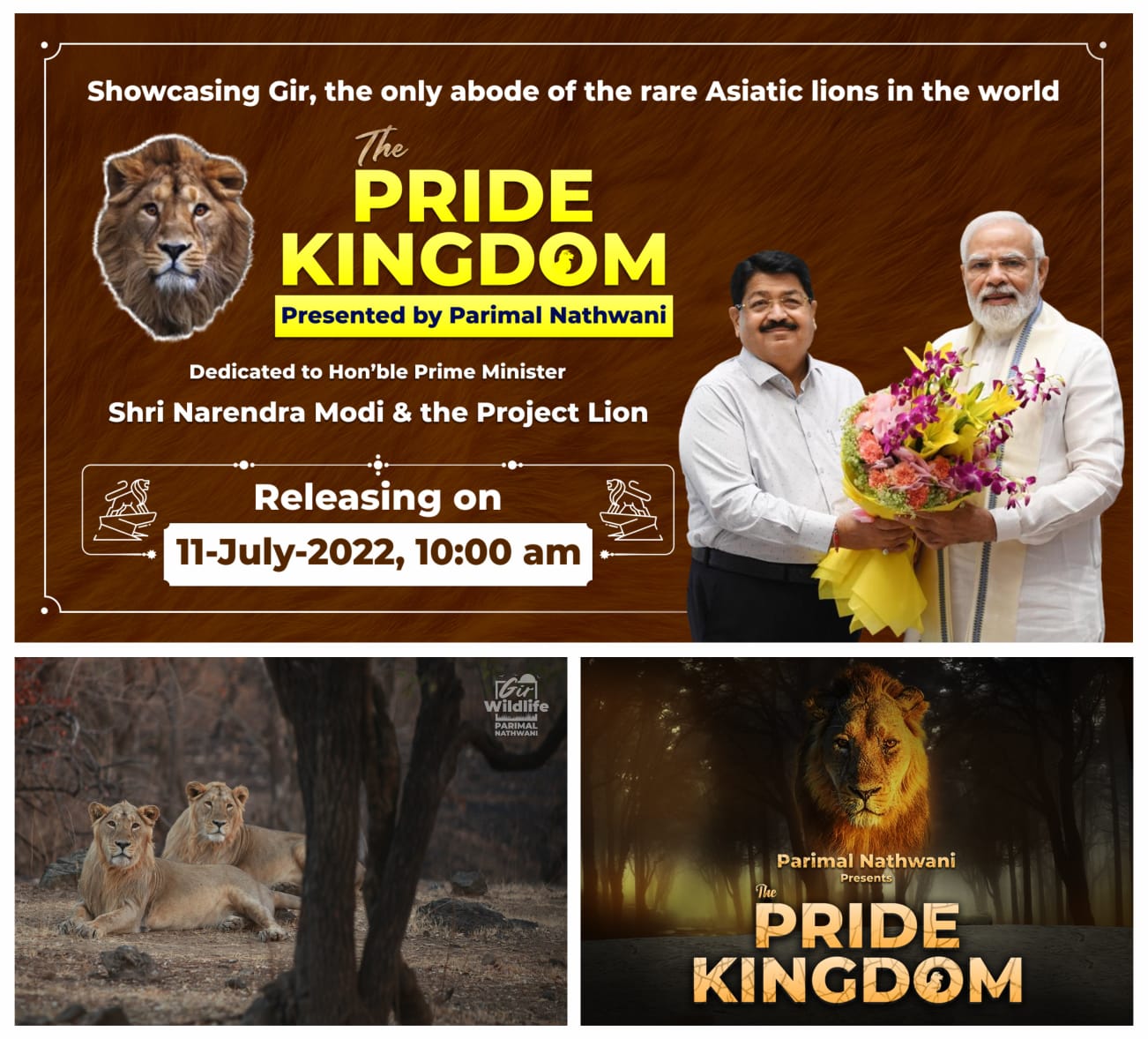 The Pride Kingdom A Series On Asiatic Lions Of Gir Produced By Parimal Nathwani Deshgujarat